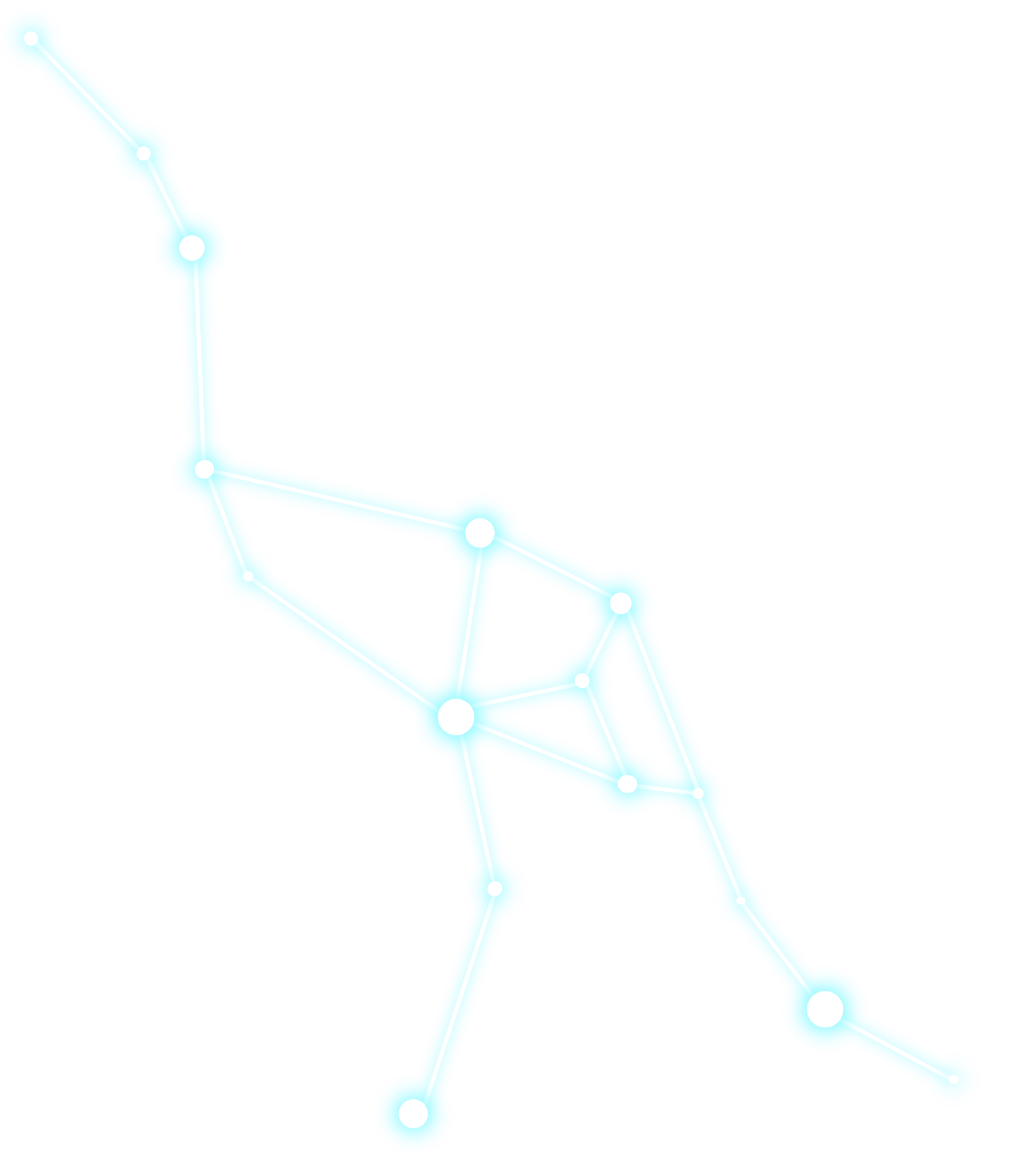 Logo: crane constellation stars